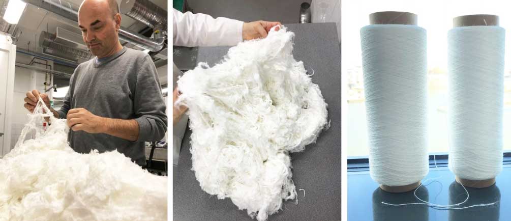 Nanollose developed a sustainable fabric from Nullarbor