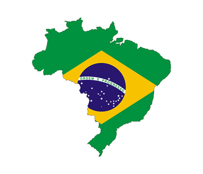 Brazil seeks permission to export beef in BD in return of tariff reduction