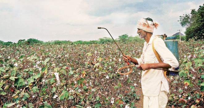 i-COPES project, sustainable coloration on textiles
