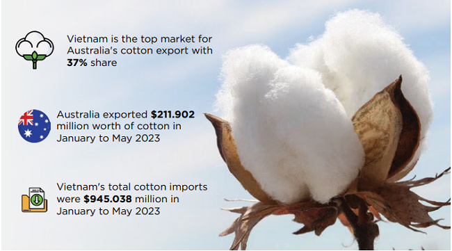 Vietnam emerges as Australia's top cotton importer