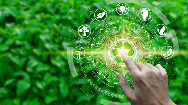 Textile industry's green transition: insights from the forefront of mechanical recycling