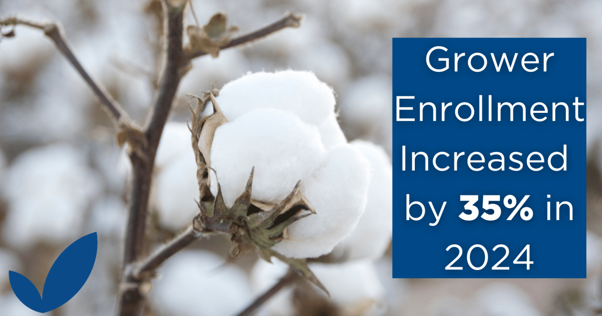 U.S. Cotton Trust Protocol grower enrollment surges 35% in 24CY
