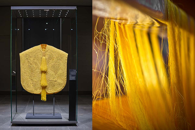Golden Spider Silk: Nature’s textile wonder