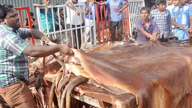 Tannery owners pay less than govt-set prices for Eid hides