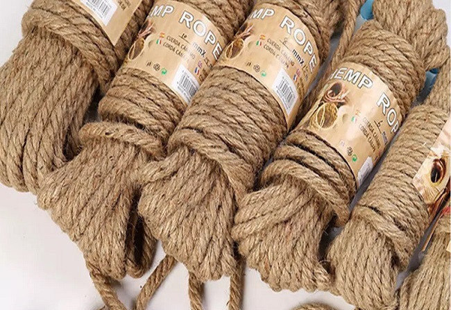 India imposes new restrictions on jute imports from Bangladesh