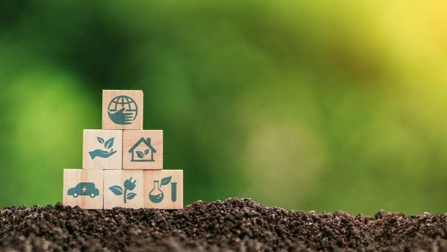 Fashion sustainability certifications raise costs without guaranteed impact