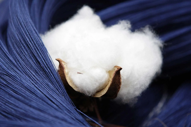 Regenerative cotton is driving the next generation of denim